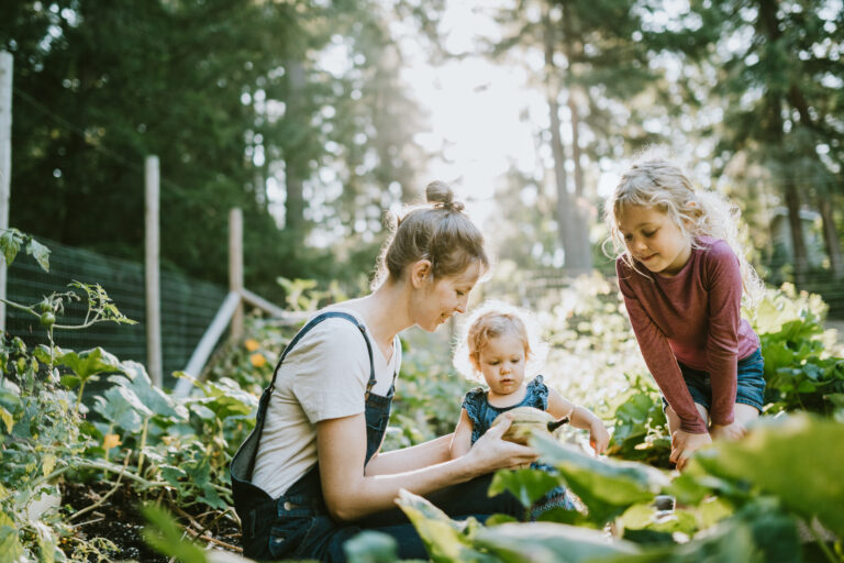 A mother and her children pick fresh squash from their garden on a warm late summer morning at their home. Shot in Washington state.