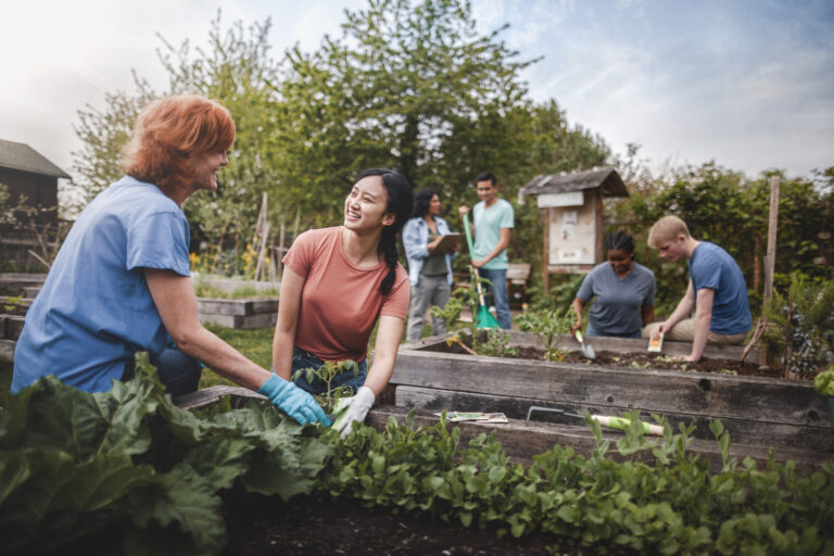 group of young men and young women gather as volunteers to plant vegetables in community garden with mature woman project manager advice and teamwork