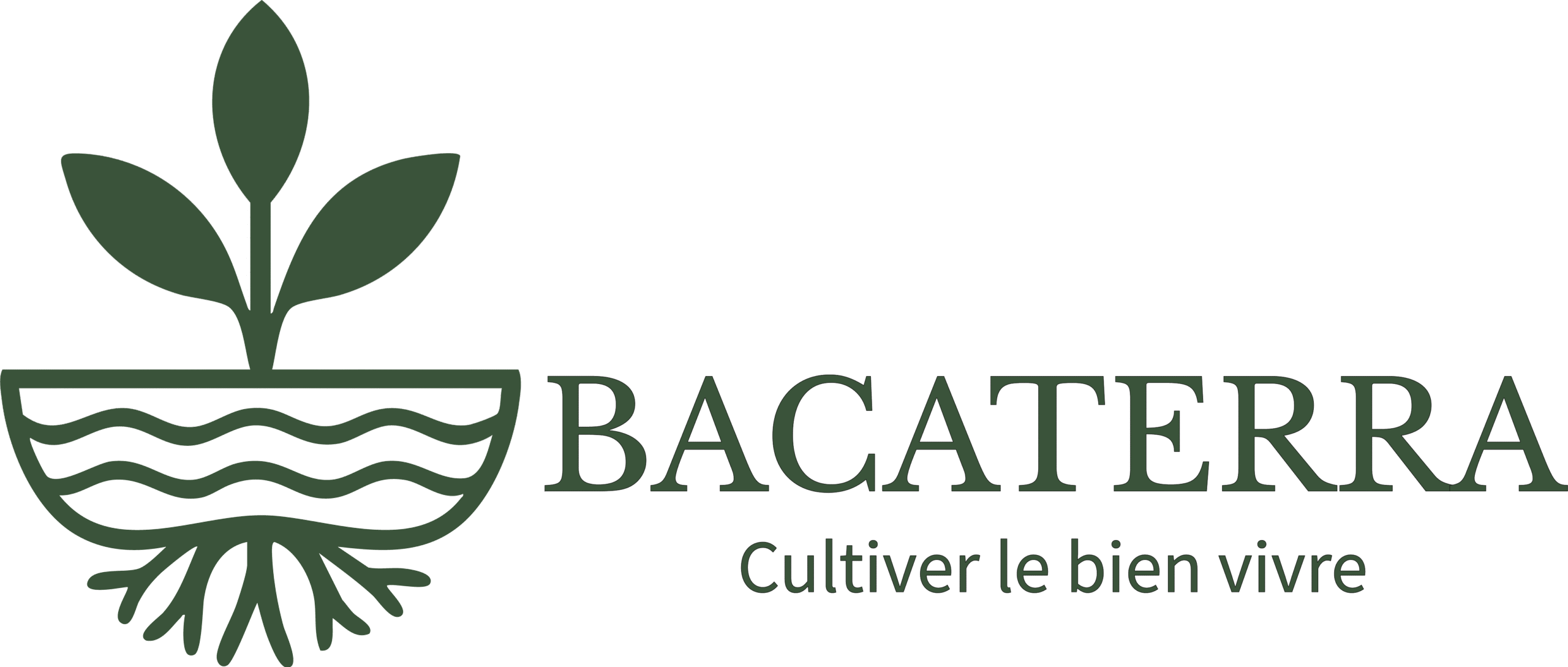 bacaterra.com