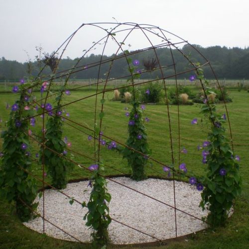 pergola végétal