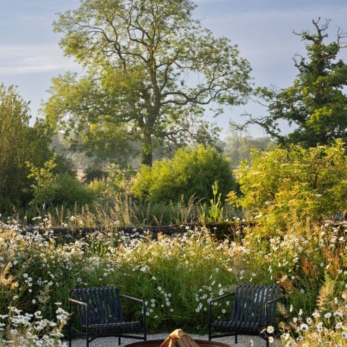 place à feu marguerites